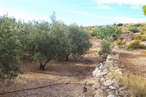 albacete land for sale